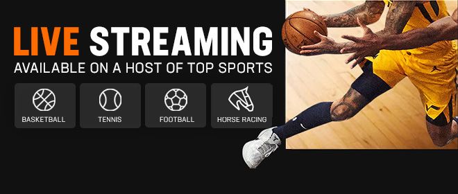 LiveScore Bet IE Live Betting On Sports Casino Games